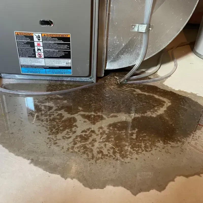 Appliance Leak Cleanup in Nikiski, AK